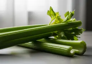 Celery — photograph