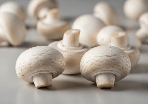 White Mushrooms - photograph