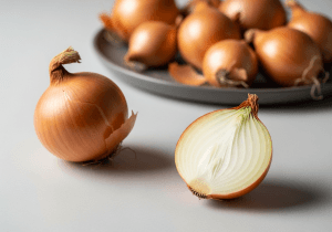 Onion — photograph