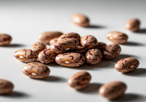 Pinto Beans — photograph