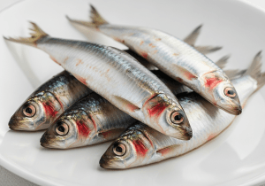 Sardines - photograph