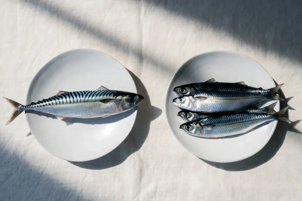 Mackerel and sardines side by side, photographed for nutritional comparison