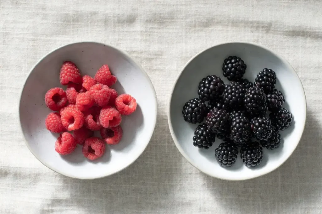Raspberries and blackberries side by side, photographed for nutritional comparison