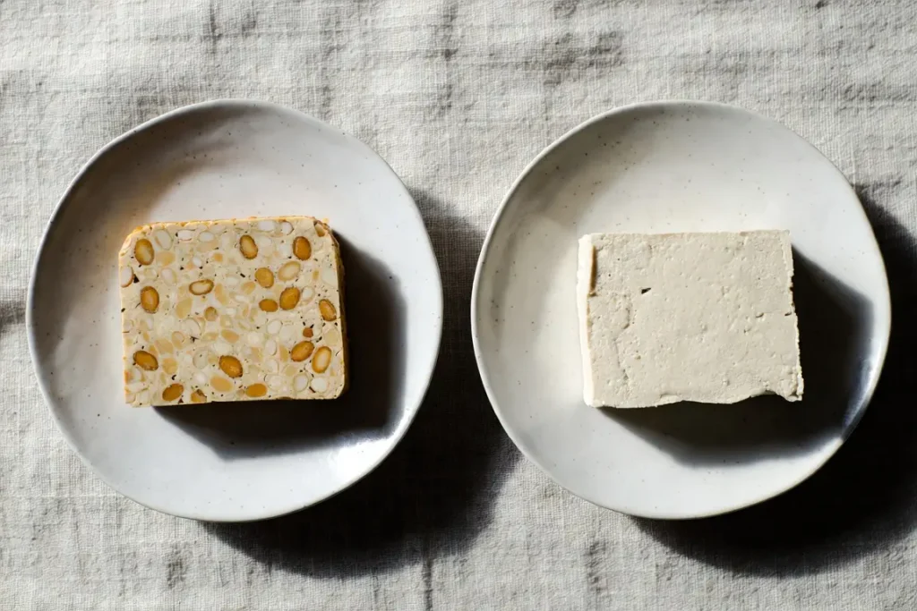 Tempeh and tofu side by side, photographed for nutritional comparison